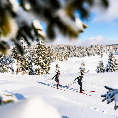 ski de fond